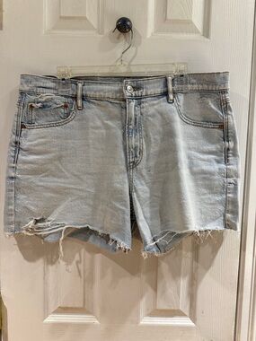 American Eagle Outfitters Light Wash Distressed Denim Shorts